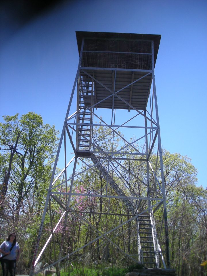 Kristin Scholetzky photo