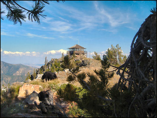 Photo courtesy Ken Jones 2009