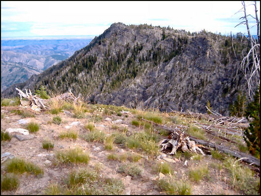 Photo courtesy Ken Jones 2009