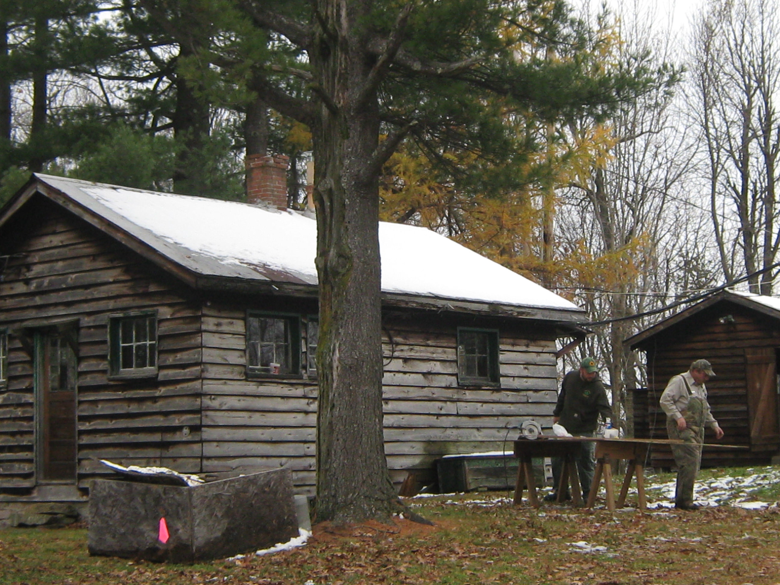 October 2013 photo by WV Division of Forestry