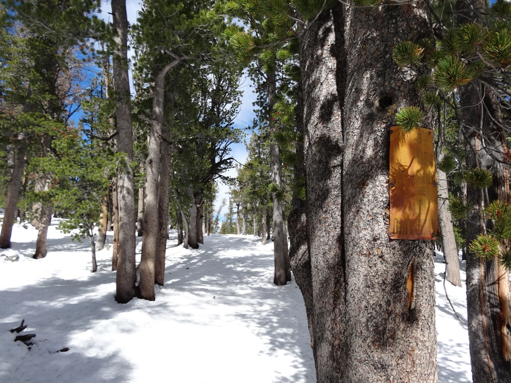 Trail to Blue Ridge Lookout (9/29/2013 photo by Karl Brauneis)