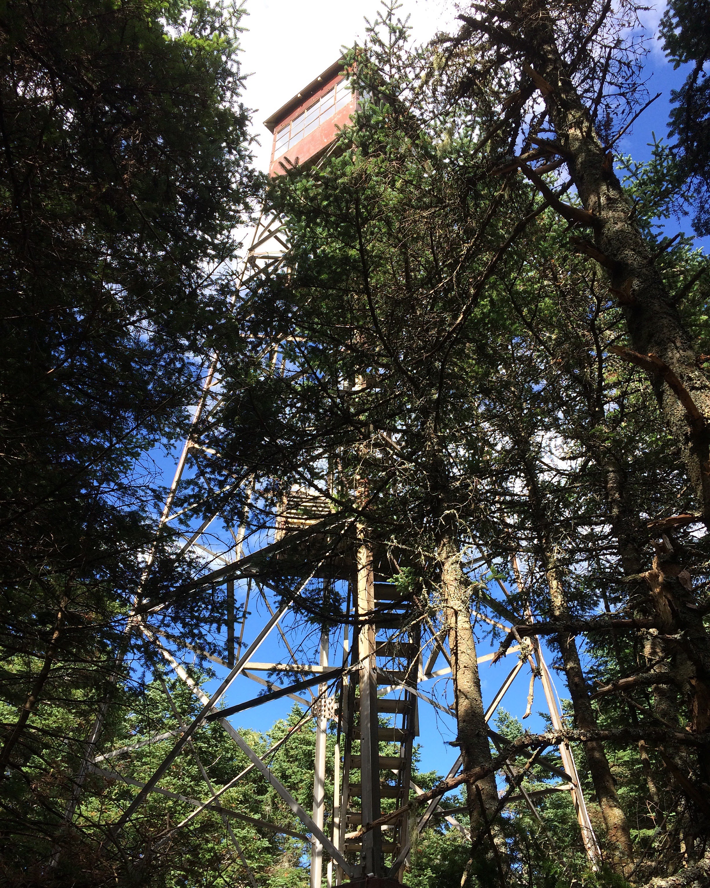 August 7. 2016 photo