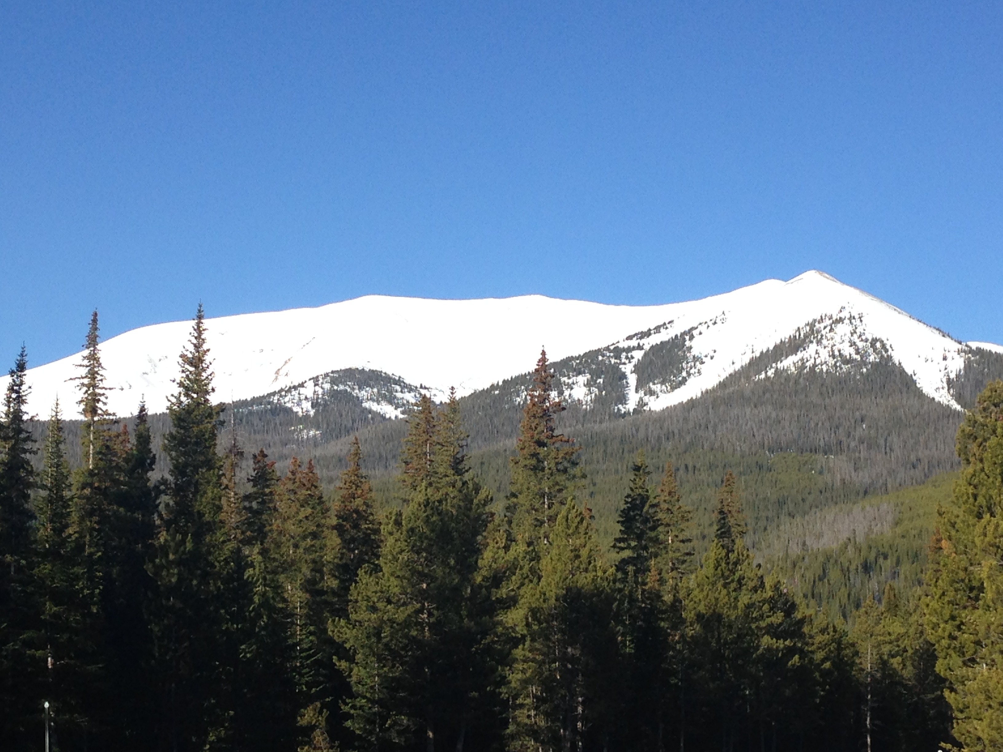 April 11, 2017 photo