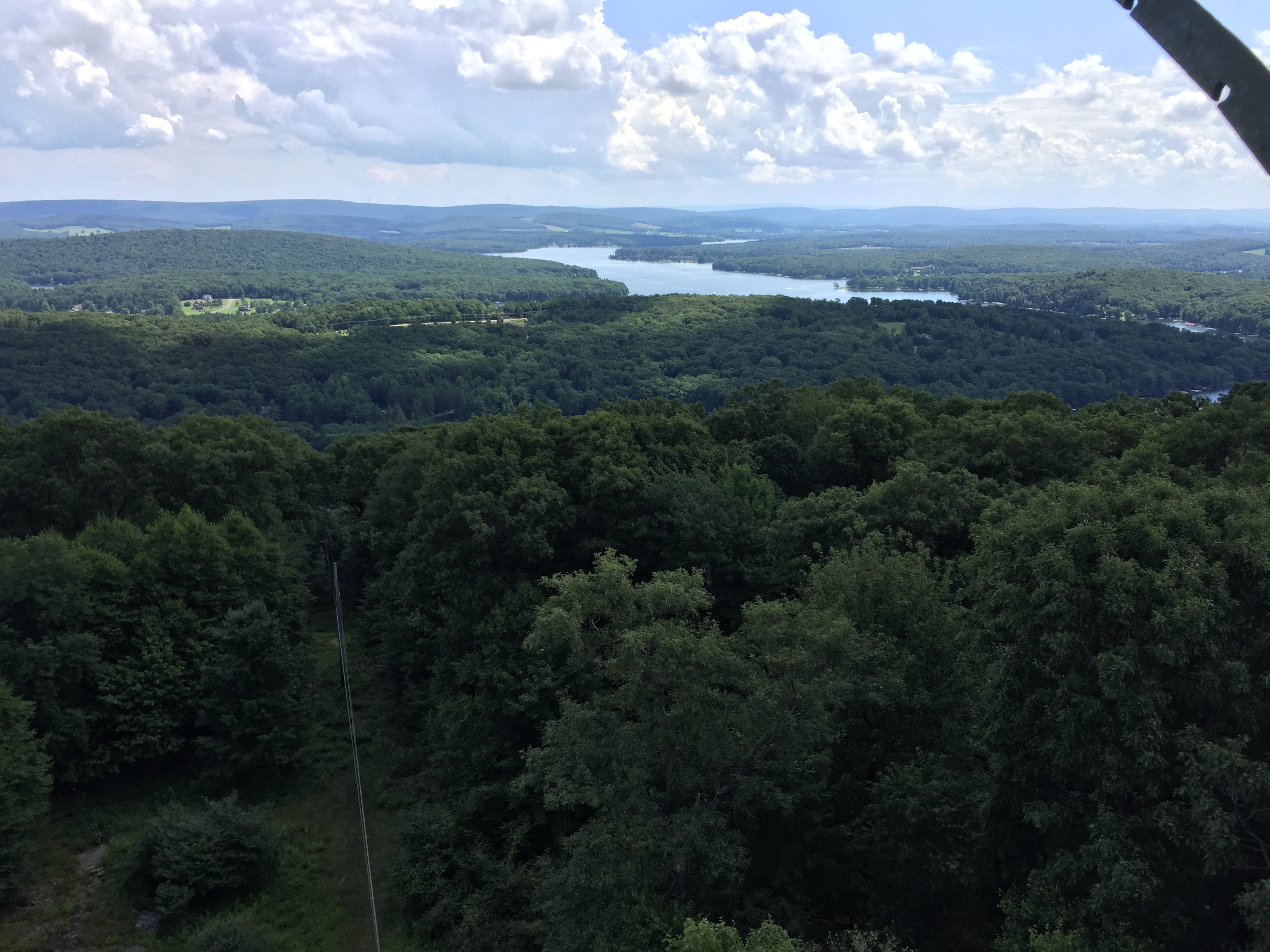 View from Tower in August 2017