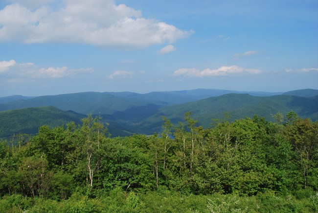 View from High Knob Lookout in June 2009