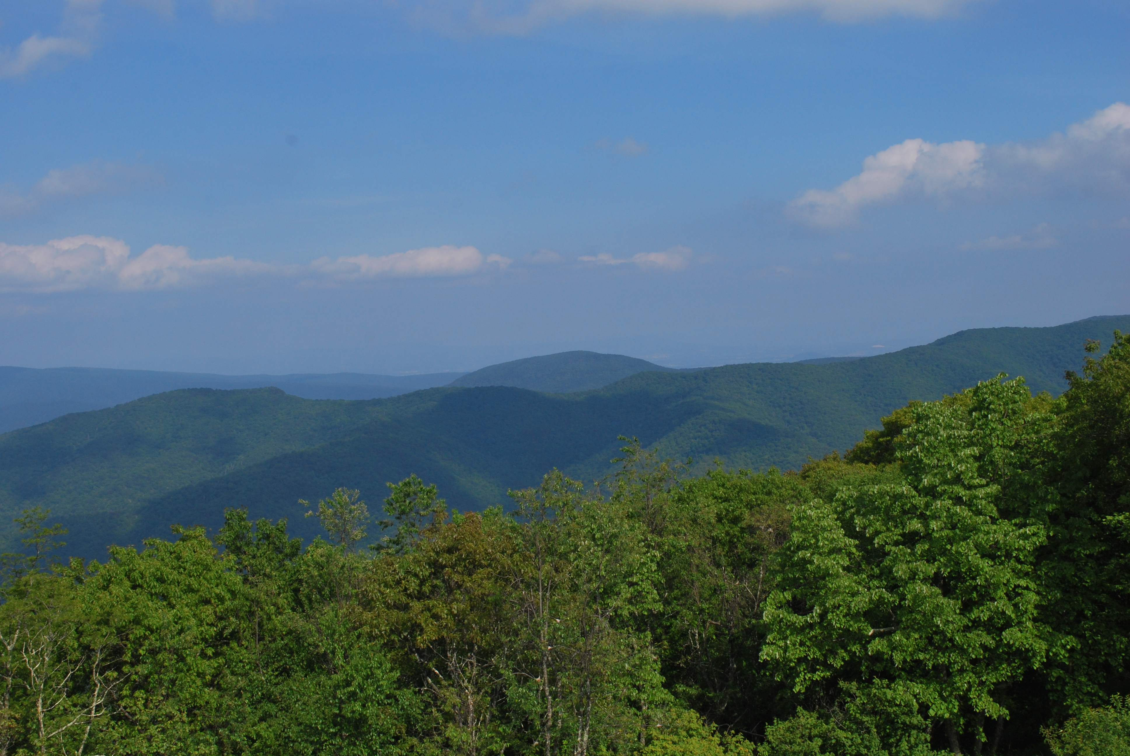 View from High Knob Lookout in June 2009
