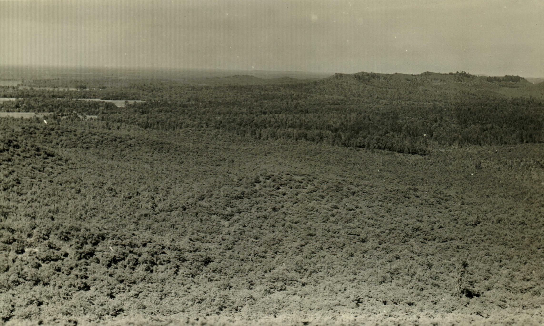 1937 view east from Oak Ridge Lookout