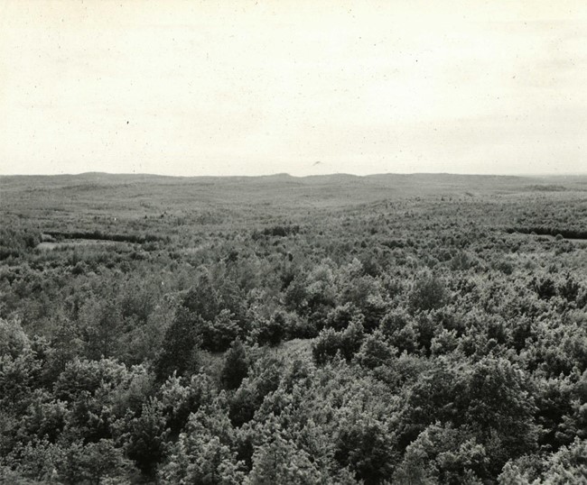 1949 view looking west