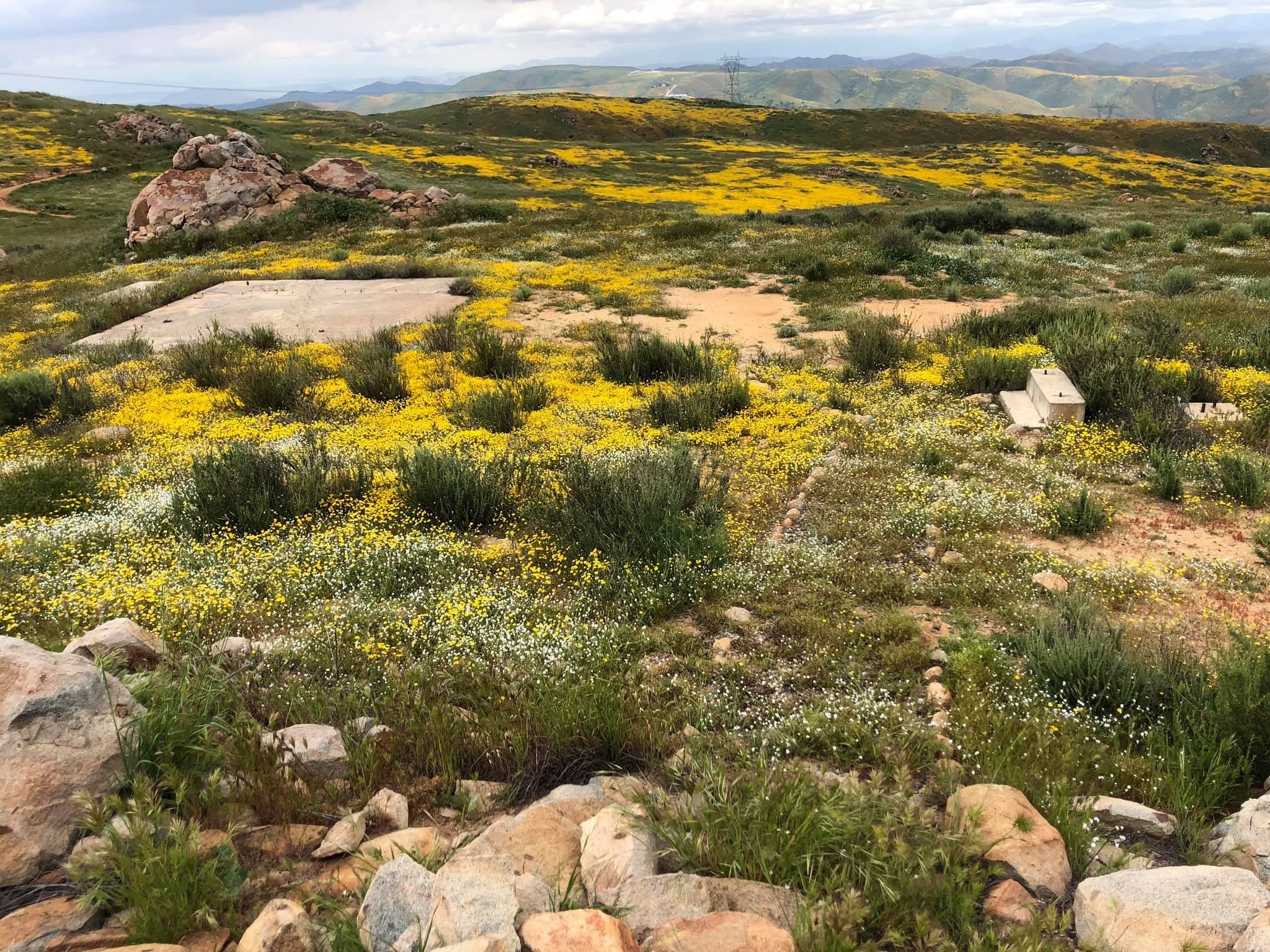 Original site of Estelle Mountain Lookout
