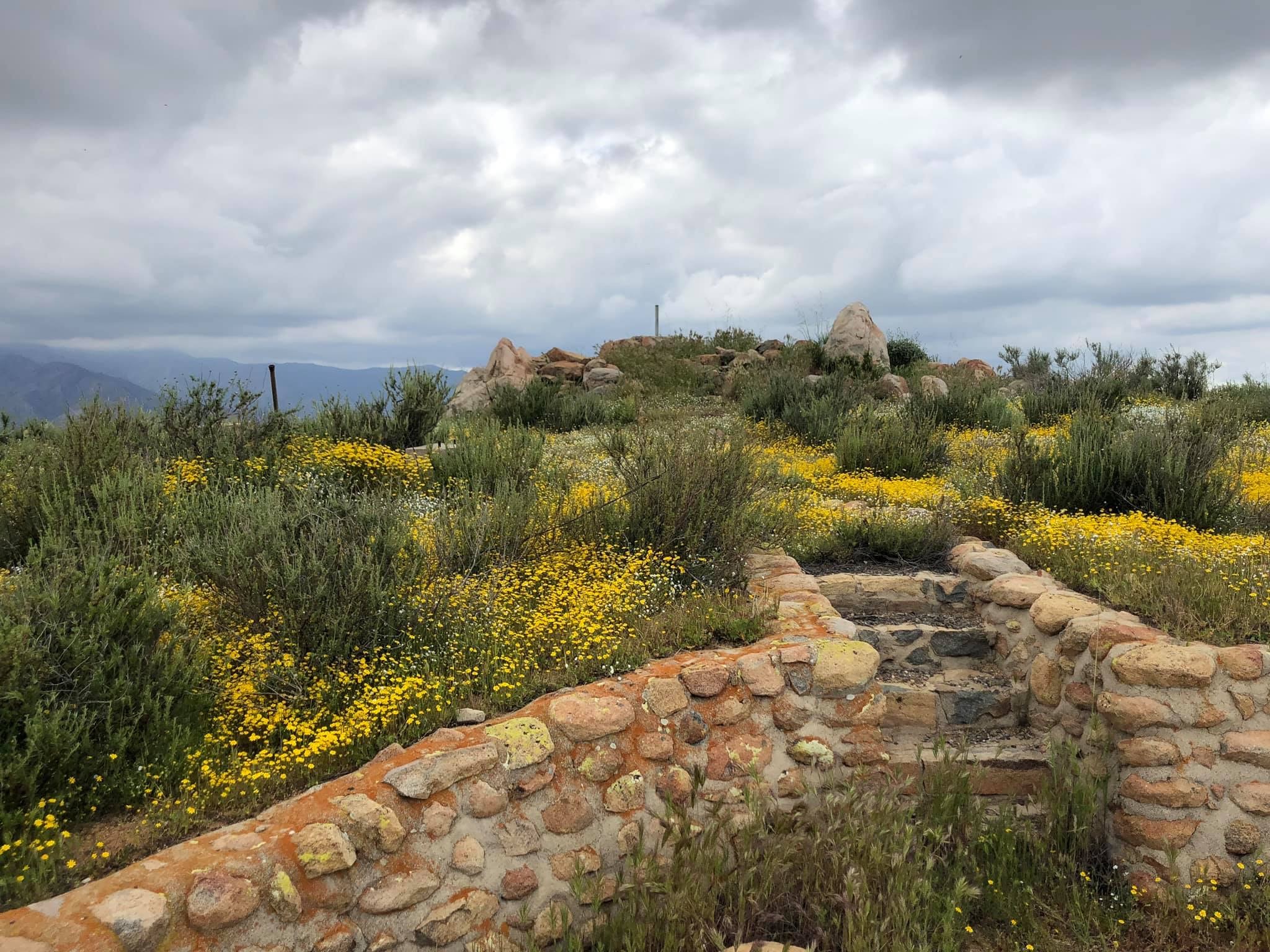 Original site of Estelle Mountain Lookout
