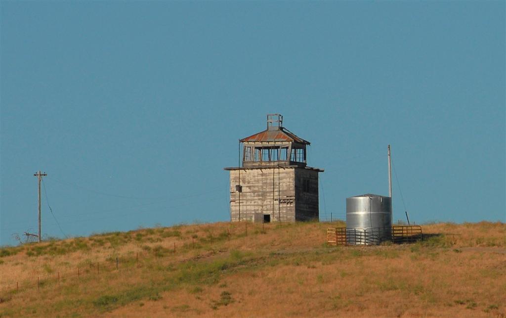 Annette Lookout 2009