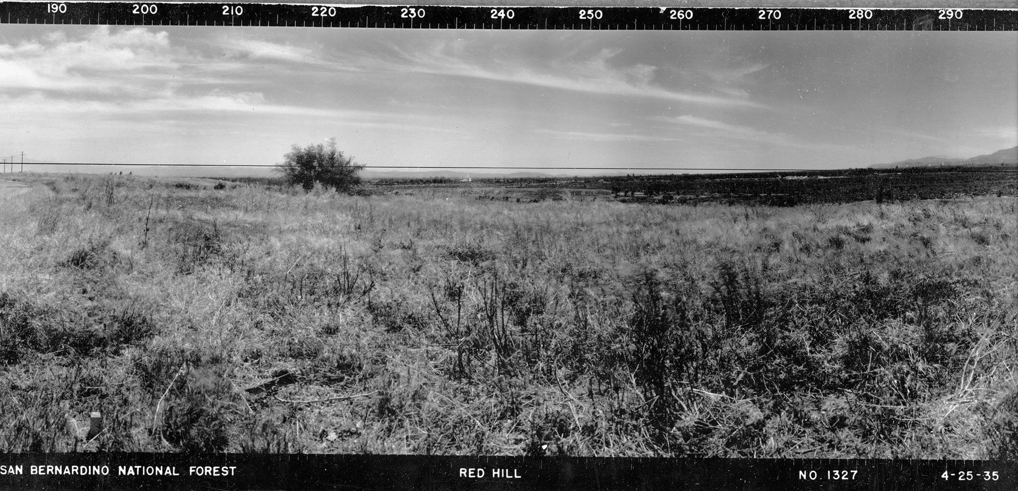 West quadrant view - 1935