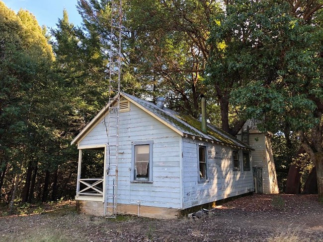 Residence Cabin - 2018