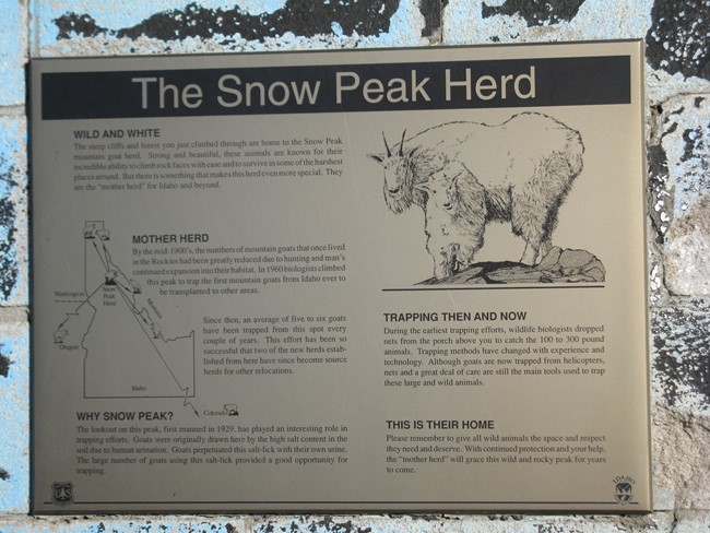 Snow Peak Herd display