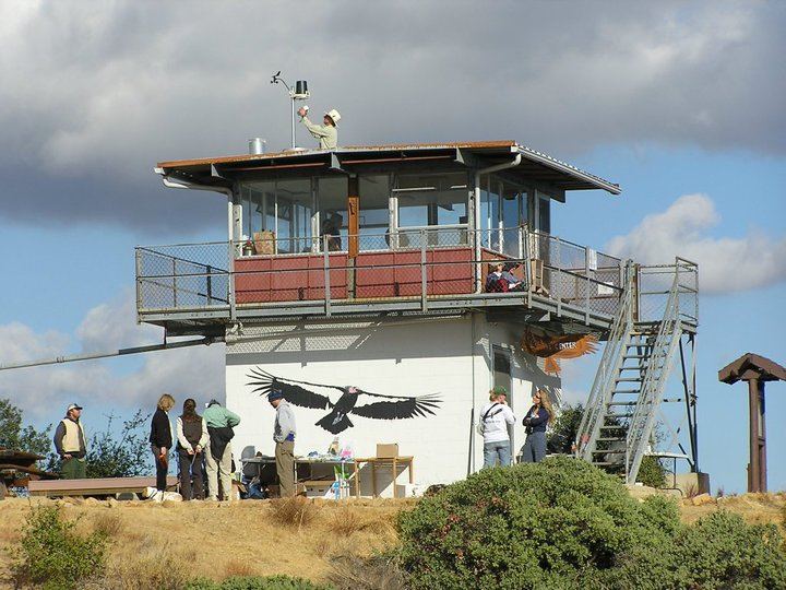 During recent restoration 