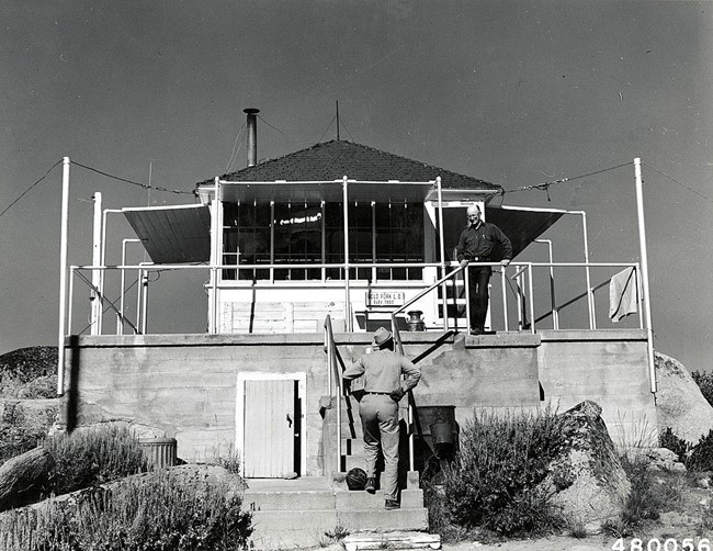 Gold Fork Lookout - 1955