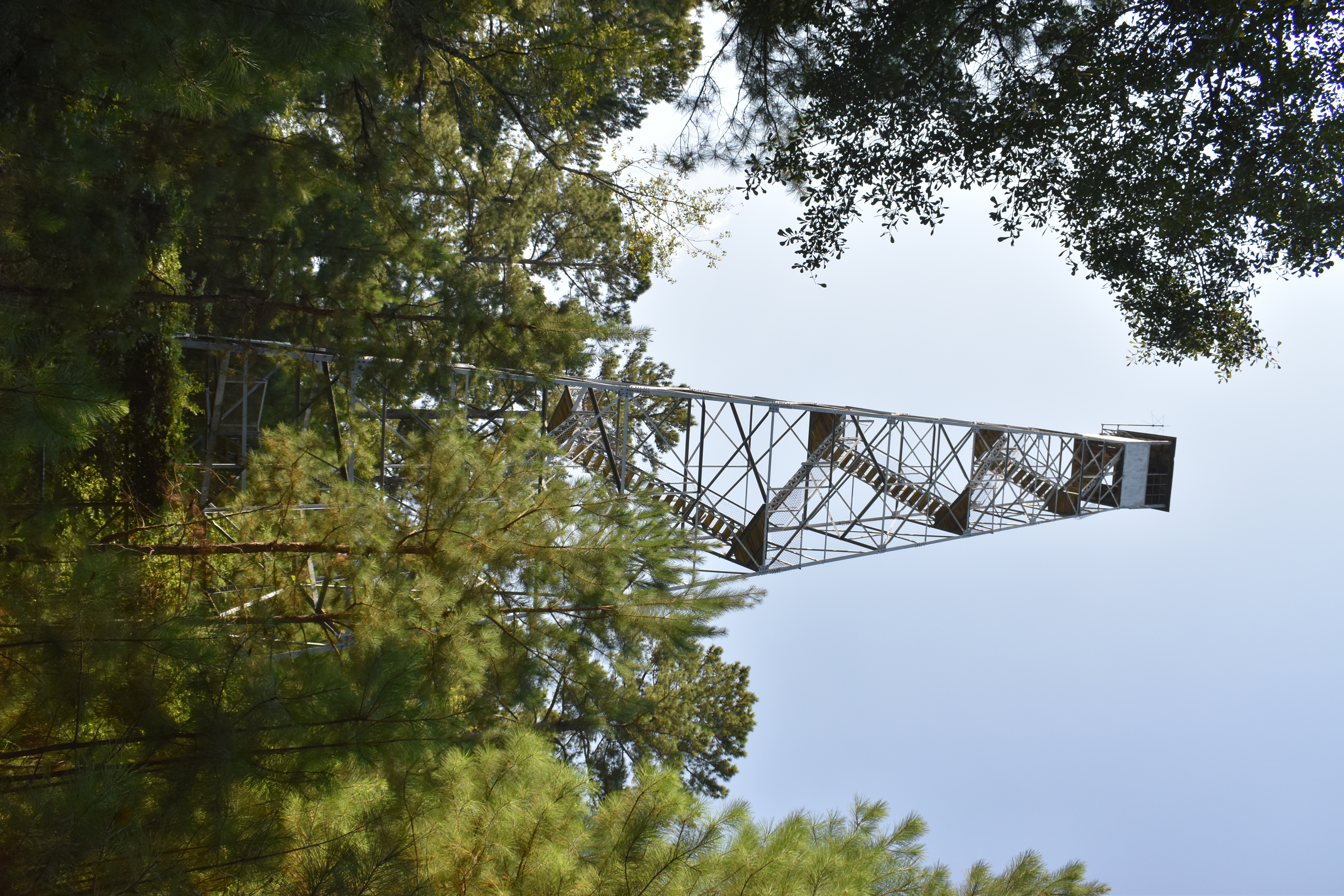 September 2020 photo