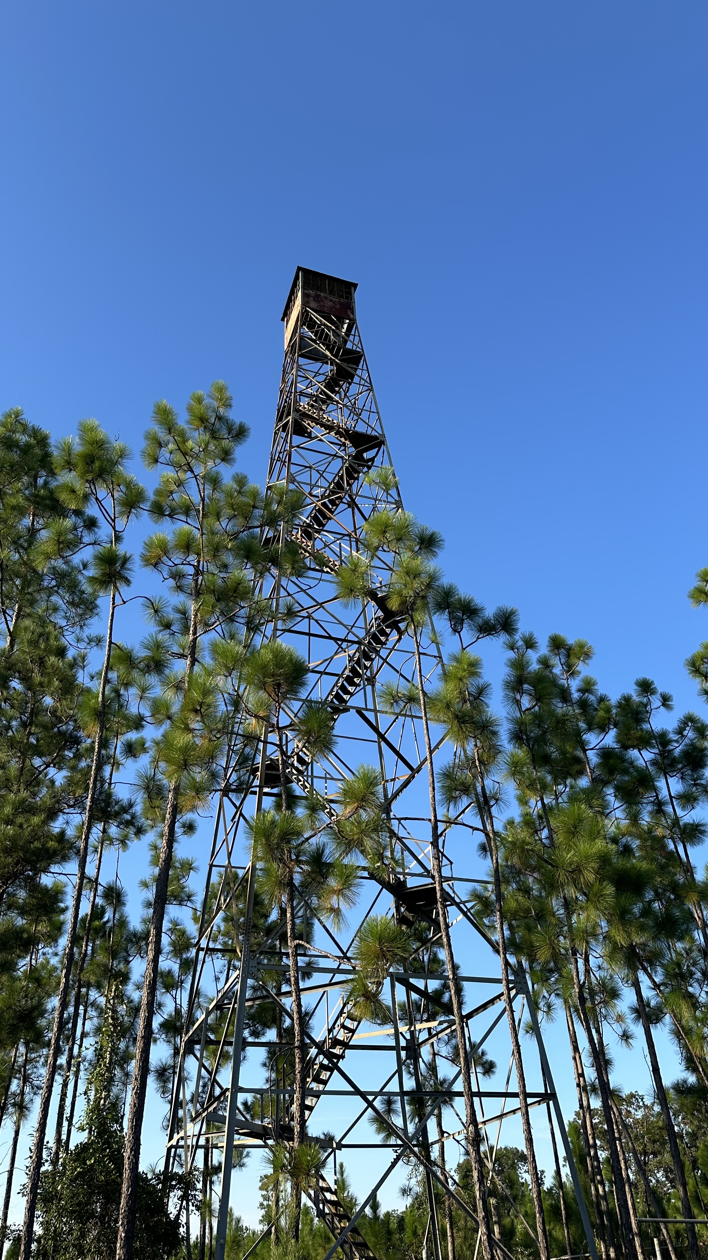 September 2025 photo