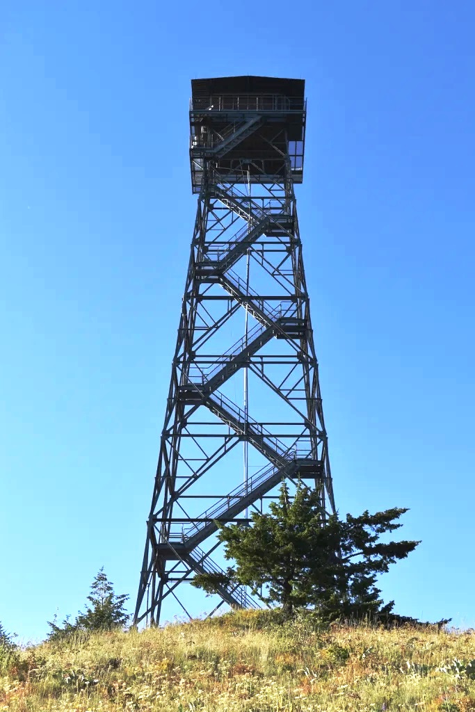 Gold Mountain Lookout - 2019