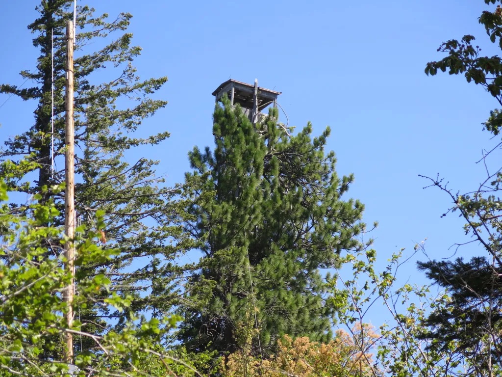 Meadow Butte Lookout - 2018