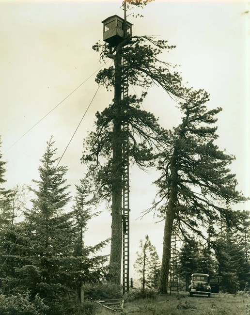 Meadow Butte Lookout - 1940