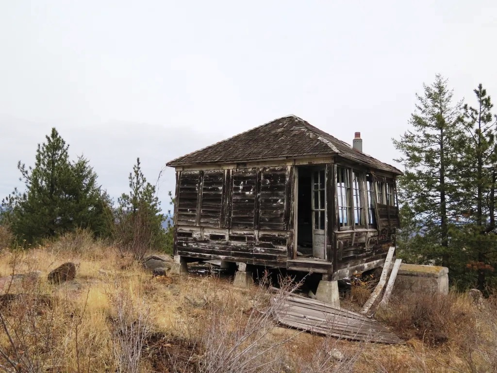 L-4 Ground cabin - 2017