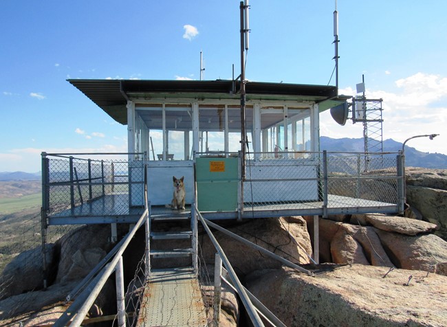 Black Mountain Cooperative Lookout - 2017
