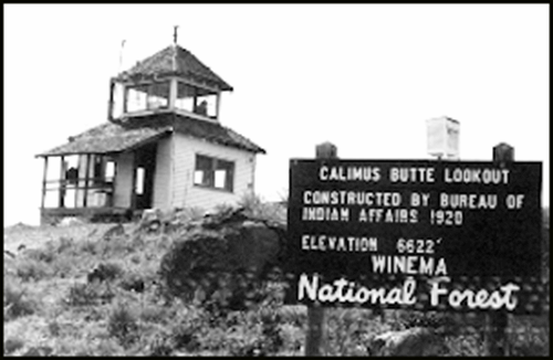 Undated Vintage Photo