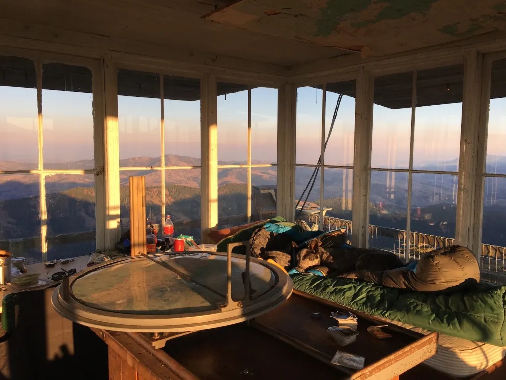 Cabin Interior - 2022