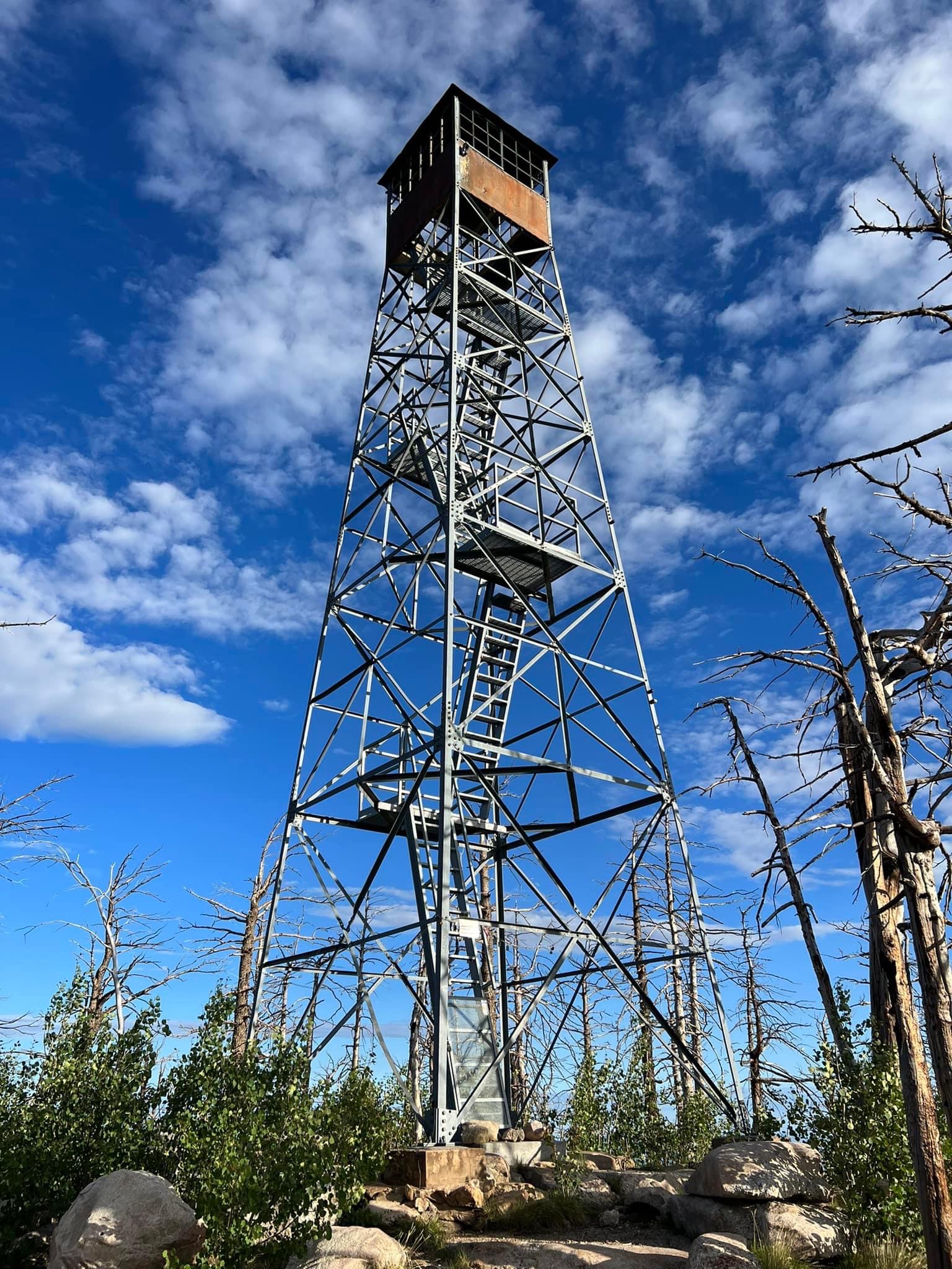 Wells Lookout - 2022