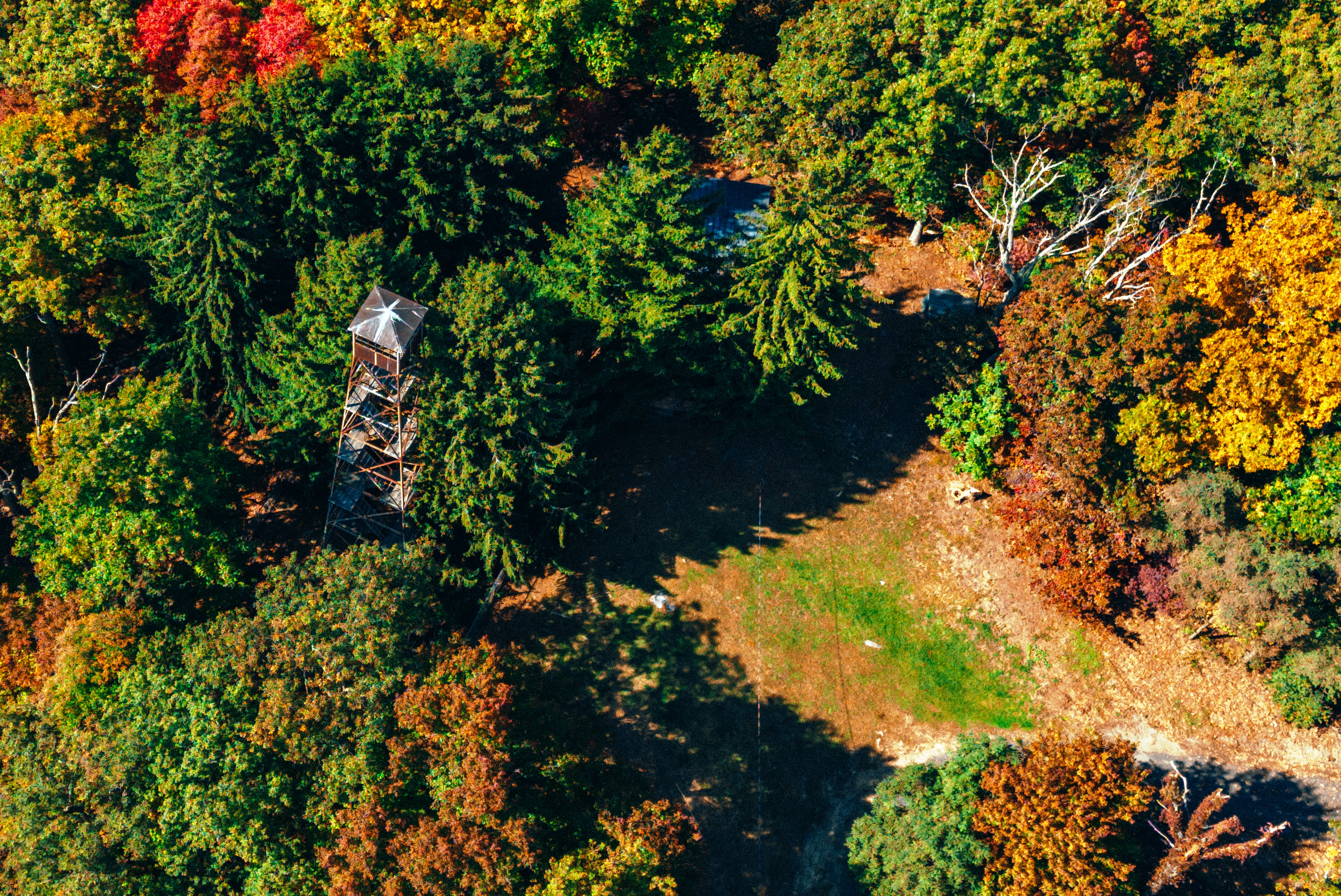 Ben's Knob Fire Tower - 2022