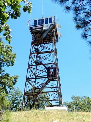 Delilah Lookout - 2011