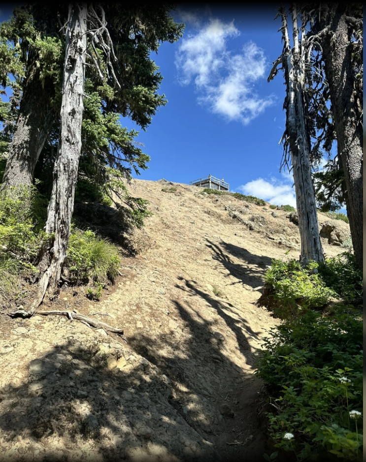 Platform during off-site restoration of cabin in 2024