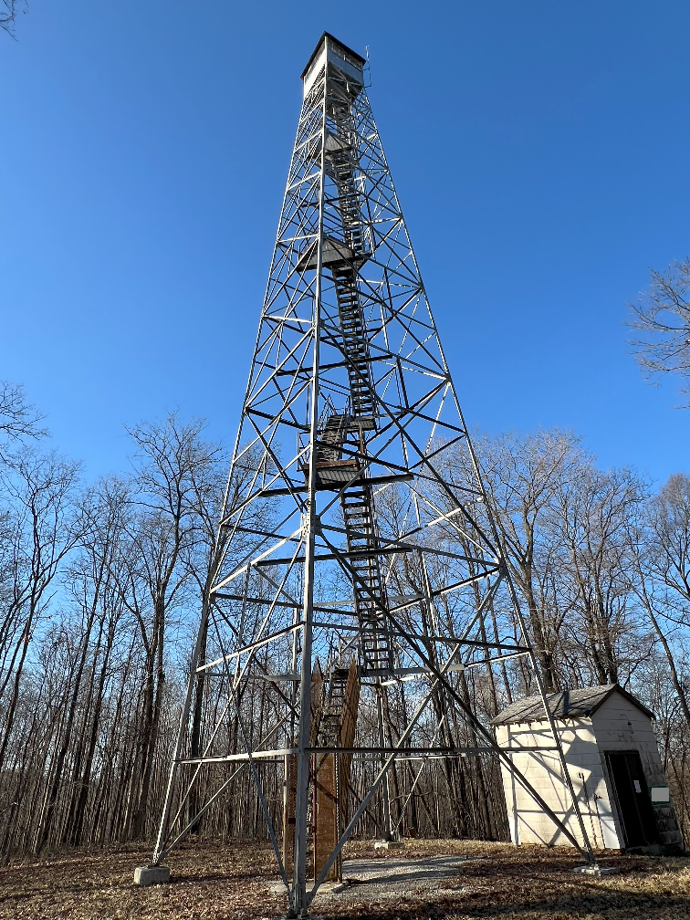 eastern Crane fire tower from February 2025